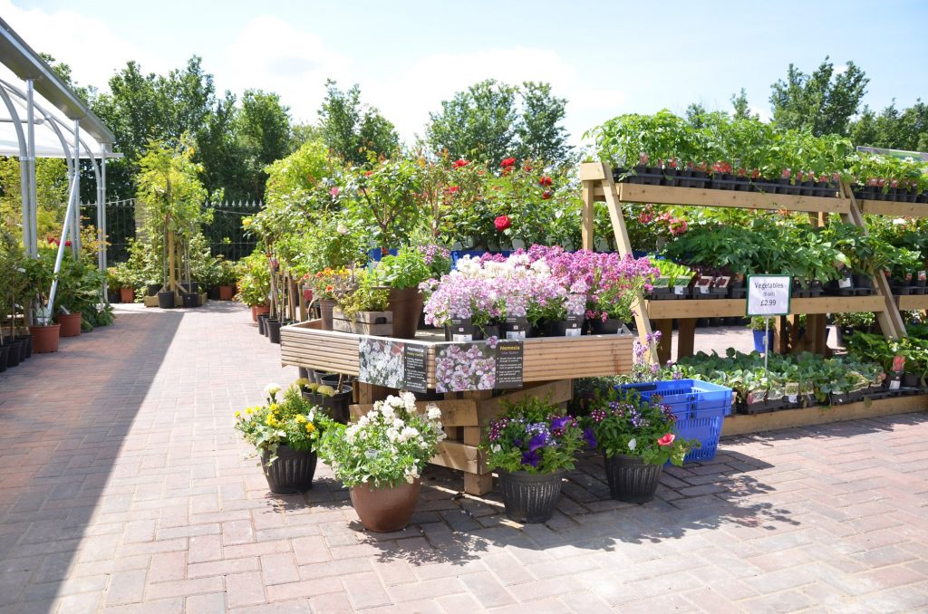 Buying Garden Centre