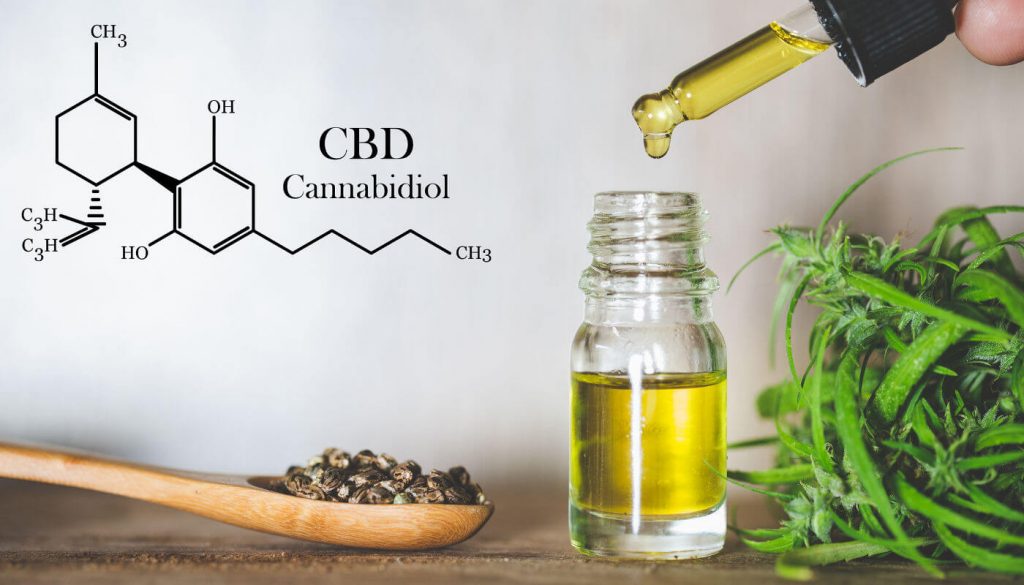 CBD oil for Cats